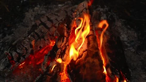 Bright Campfire Burning with Glowing Embers in Forest Loop 動画素材 343821566