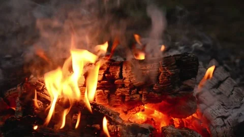 Bright Campfire Burning with Glowing Embers in Forest Wilderness Loop 動画素材 344031058