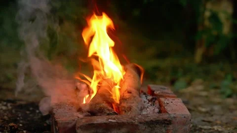 Bright campfire burning inside a brick fire pit in the forest woods Stock Footage 341682636