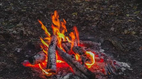 Bright Campfire Burning in the Woods Foto stock