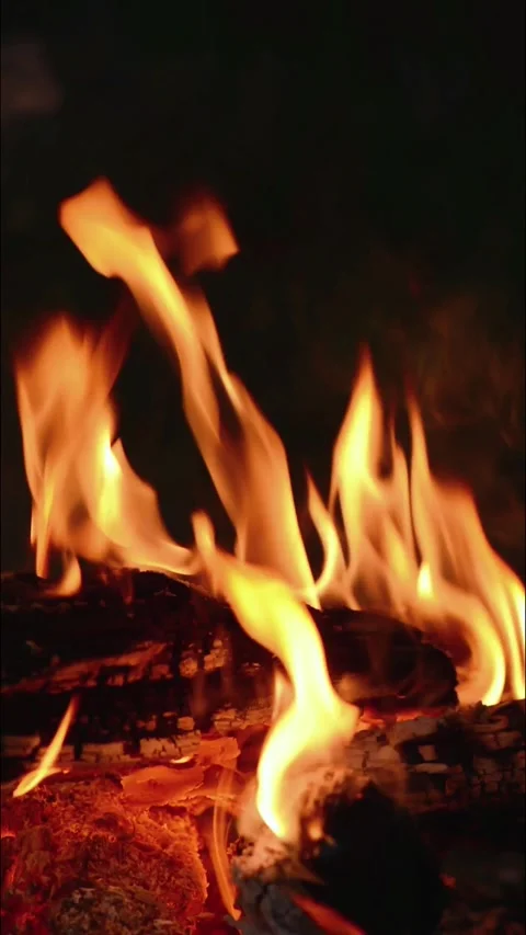 Bright Campfire Flames and Firewood Logs at Night Stock Footage 344746551