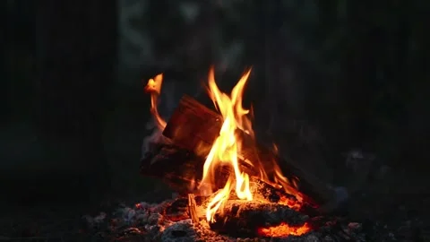 Bright Campfire Flames and Glowing Wood Embers 動画素材 344746602