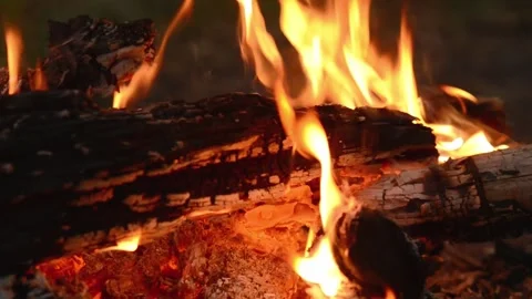 Bright Campfire Flames and Glowing Wood Coals Loop Vídeos de archivo 344746616