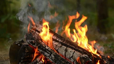 Bright Campfire Flames and Smoke Loop in Forest 库存影片 342284312