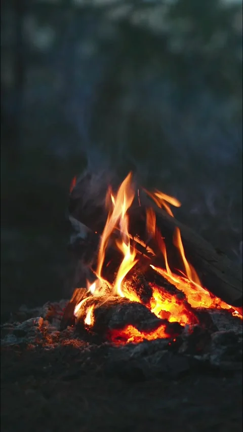 Bright Campfire Flames and Smoke Loop 動画素材 344746628
