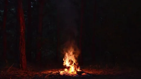 Bright Campfire Flames and Wood Logs at Night Vídeos de archivo 344746586