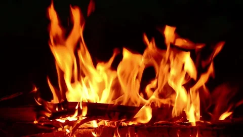 Bright Campfire Flames Burning on Black Background Stock Footage 341980547
