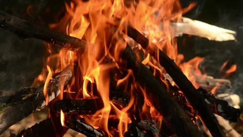 Bright Campfire Flames Burning Closely Seamless Loop Stock Footage 343343679