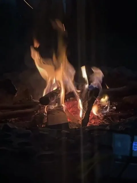 Bright Campfire Flames Burning on Dark Night with Glowing Embers Stock Footage 341840877