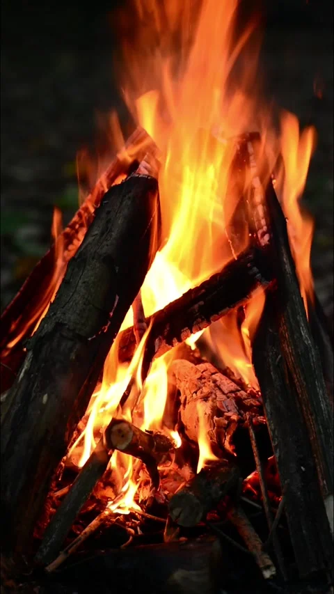 Bright Campfire Flames Burning Logs Seamless Loop with Sound Stockbeeldmateriaal 344951239
