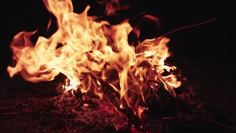 A bright campfire Video stock 94839726
