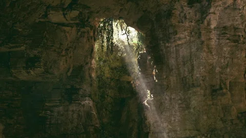 Bright cave scene. Sunlit chasm filled with lush greenery and hanging vines Stock Footage 329941574