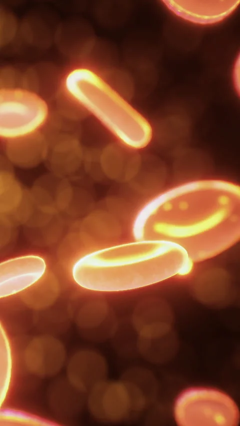 Bright circles float in a dark space during a magical moment of light Stock Footage 333567437