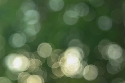 Bright circles on a green background Stock-Fotos