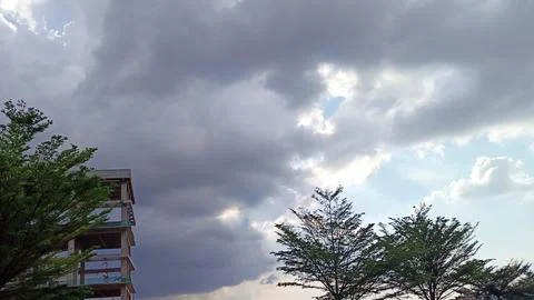 Bright clouds and trees Stock Photos