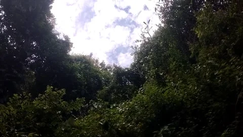 Bright clouds Stock Footage 329207773