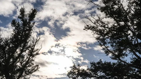 Bright clouds, sun, trees, minimalist Stock Footage 167036430