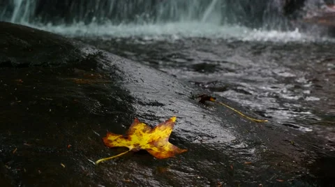  Bright Colored Autumn Leaf and Waterfall Stock-Footage 68269425