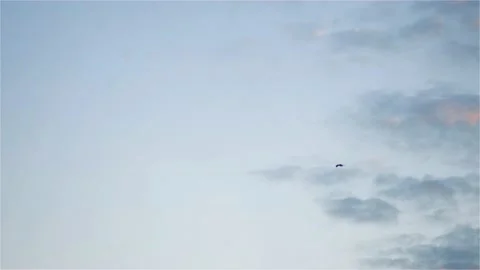 Bright colored clouds float across the sky. Sunset sunlight Stock Footage 145582193