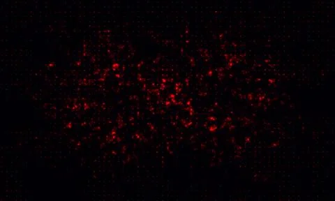 Bright colored sparkle on a black background. Effect halftone Vector backgrou Stock Illustration