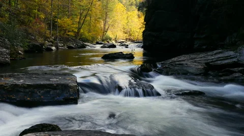 Bright colored trees along flowing mountain river in slow motion Stock Footage 43056384