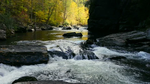 Bright colored trees along flowing mountain river. Stock Footage 43056502