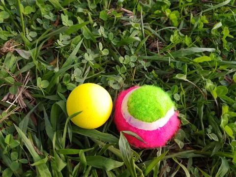 Bright, colorful balls rest in lush green grass. Captures summer fun, playf.. Stock Photos
