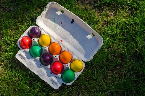 Bright colorful easter eggs in egg carton on green grass. Top view, Copy space Stock Photos