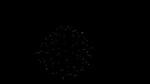 Bright colorful fireworks explode in the dark night sky Stock Footage 329673675
