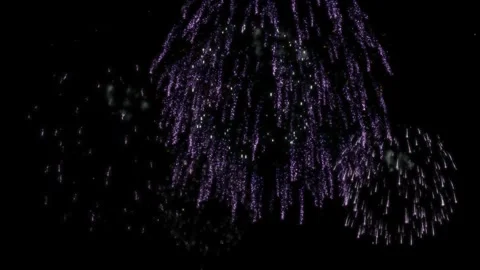 Bright colorful fireworks exploding at night. Vibrant pyrotechnic display in Stockbeeldmateriaal 340117760