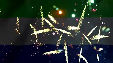 Bright colorful fireworks exploding in the night sky over a blurred nationa.. Vídeo Stock 343690359