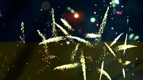 Bright colorful fireworks exploding in the night sky over a rural field and.. 库存影片 343690361