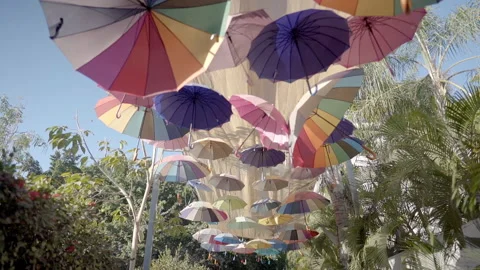 Bright colorful umbrellas hang from ceiling Vidéo 138596144