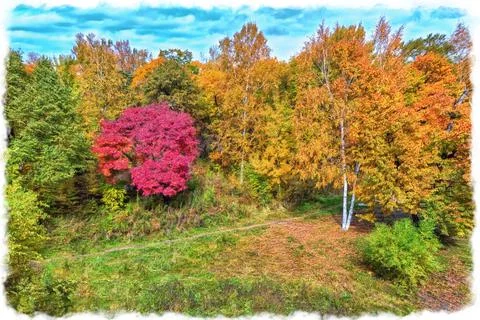 Bright colors of autumn executed in digital painting Stock Illustration