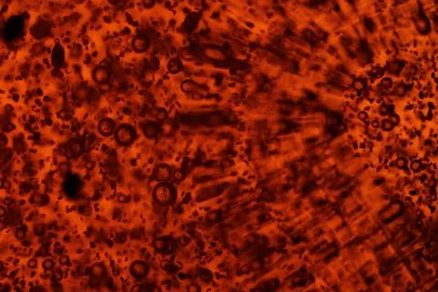 Bright colors bubbles effects Abstract Bubbles Shampoo 写真素材