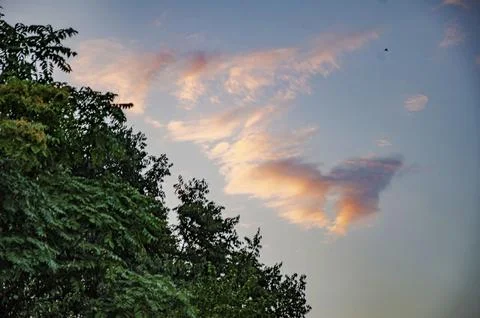 Bright colors on a cloud at sunset Stock Photos