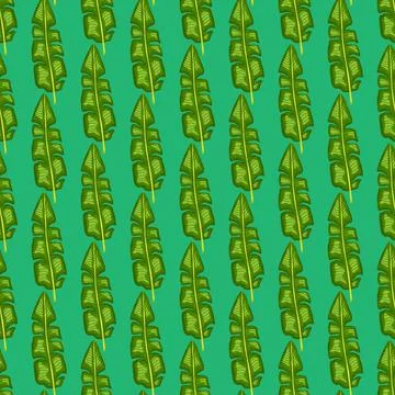 Bright colors seamless botany pattern with green tropical banan leaf print. T Stock Illustration