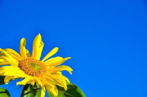 Bright colours Stock Photos