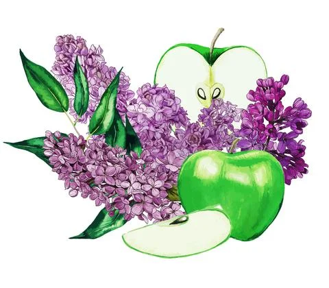 Bright composition with green apples and lilac Stock Illustration