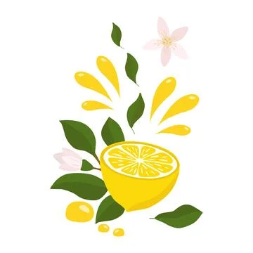 A bright composition of a lemon sprig with a whole lemon half, flying splashe Stock Illustration
