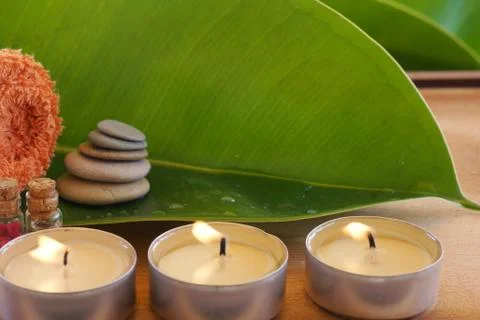 Bright composition with a spa set on a green ficus leaf Stock Photos