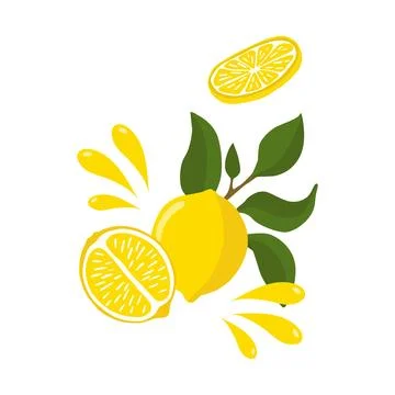 A bright composition is a sprig of lemon with a whole lemon half, flying spla Stock Illustration