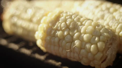 Bright corn on the grill on a summer day Video stock 153324923