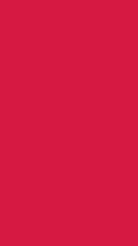 Bright Crimson Backdrop Featuring Subtle Heart Details, Modern Flat Color Video stock 324852132