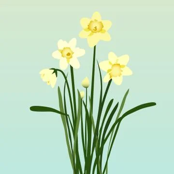 Bright Daffodils Illustrazione stock