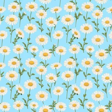 Bright Daisies Pattern on Sky Blue Stock Illustration