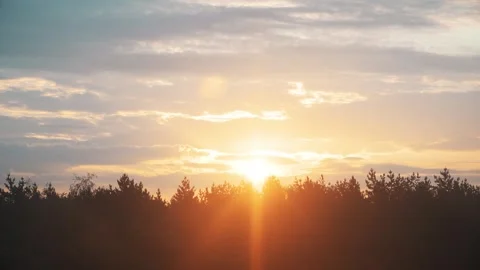 A bright dawn over the forest 스톡 동영상 342596684