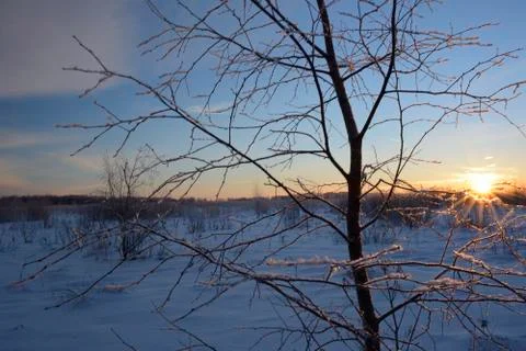 The bright daybreak Stock Photos