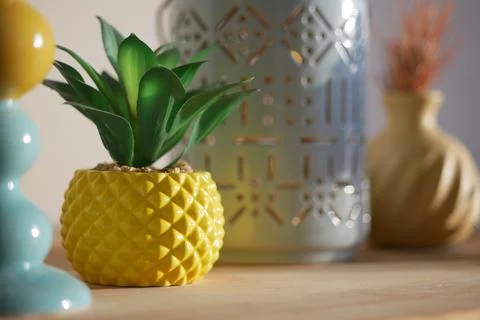 Bright decor elements with a plant and vases on a table Stock Photos