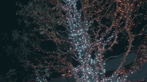 Bright decorated trees at the sidewalk. Festive light illumination at night. 4K Stock Footage 140384662